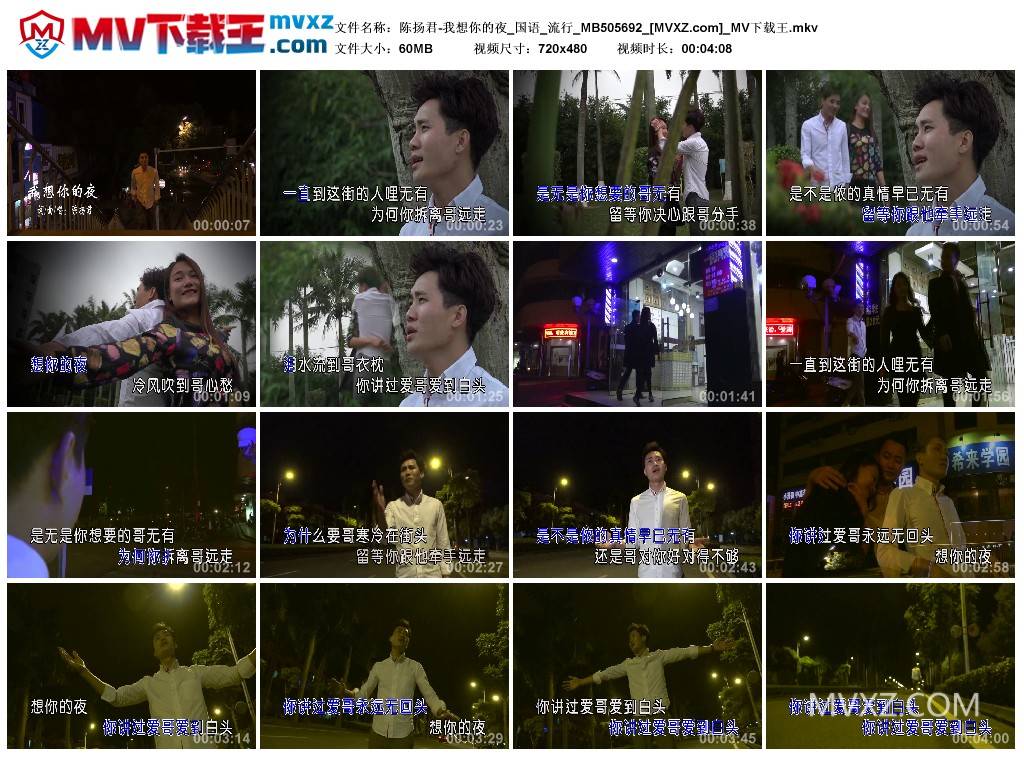 陈扬君-我想你的夜_国语_流行_MB505692